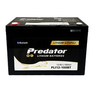 100AH 100A BMS LiFePO4 Battery with Bluetooth