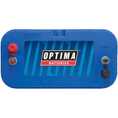 12V 75AH 900CCA Bluetop Marine Battery (D31M)