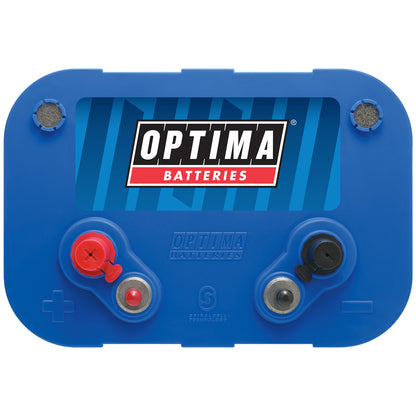 12V 55AH 750CCA Bluetop Marine/Deep Cycle Battery (D34M)