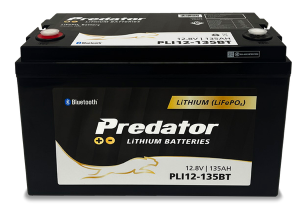 135AH 100A BMS LiFePO4 Battery with Bluetooth