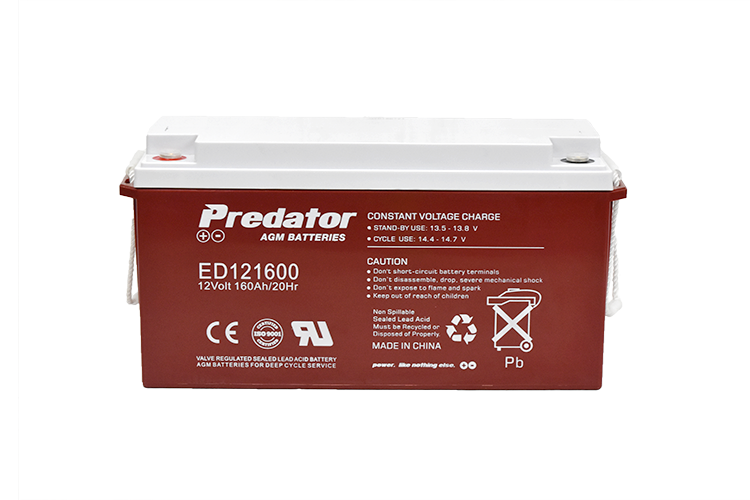 12V 160AH Deep Cycle AGM Battery (ED121600)