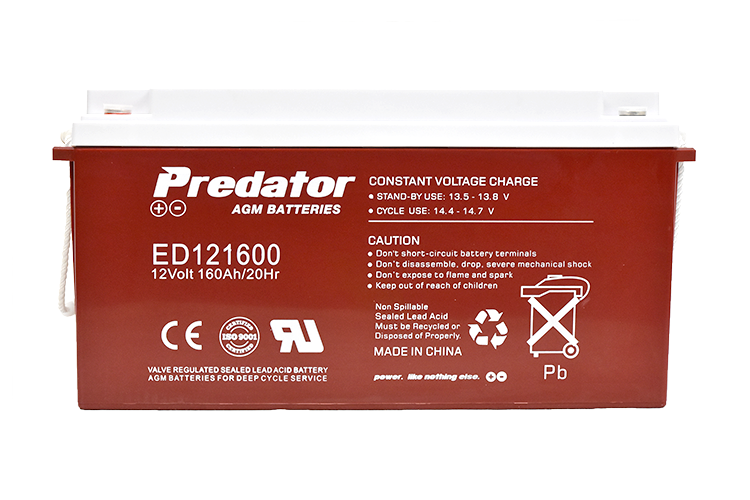 12V 160AH Deep Cycle AGM Battery (ED121600)
