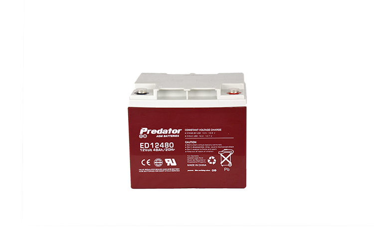 12V 48AH Deep Cycle AGM Battery (ED12480)