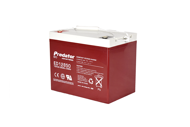 12V 85AH Deep Cycle AGM Battery (ED12850)