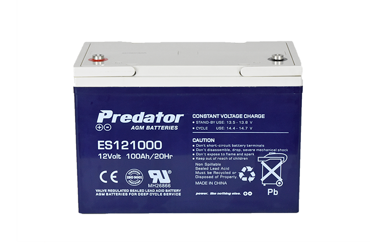 12V 100AH Multi-Purpose AGM Battery (ES121000)