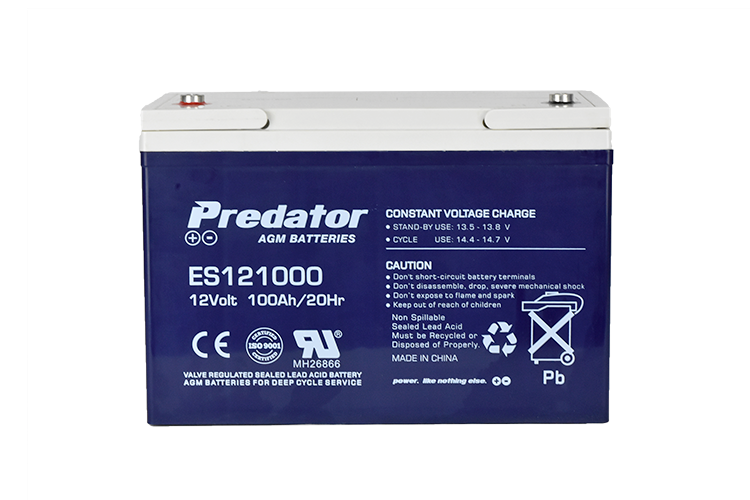 12V 100AH Multi-Purpose AGM Battery (ES121000)