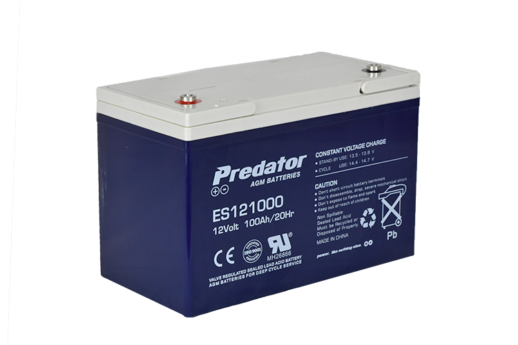 12V 100AH Multi-Purpose AGM Battery (ES121000)