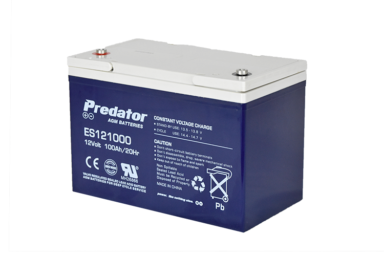 12V 100AH Multi-Purpose AGM Battery (ES121000)