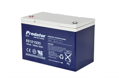 12V 100AH Multi-Purpose AGM Battery (ES121000)