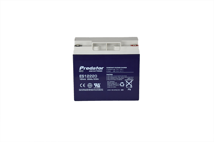 12V 22AH Multi-Purpose AGM Battery (ES12220)