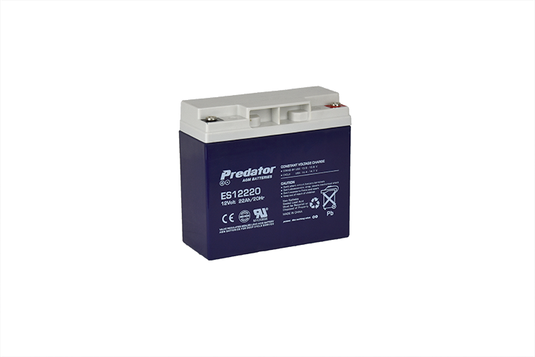 12V 22AH Multi-Purpose AGM Battery (ES12220)