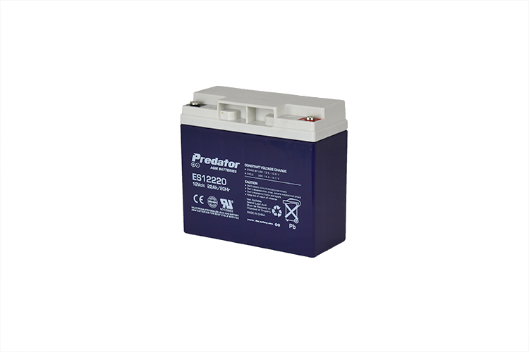 12V 22AH Multi-Purpose AGM Battery (ES12220)