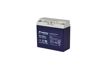 12V 22AH Multi-Purpose AGM Battery (ES12220)