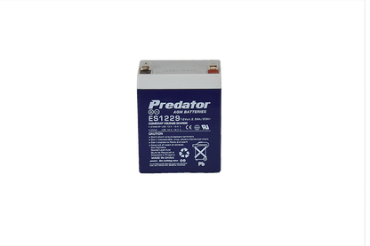 12V 2.9AH Multi-Purpose AGM Battery (ES1229)