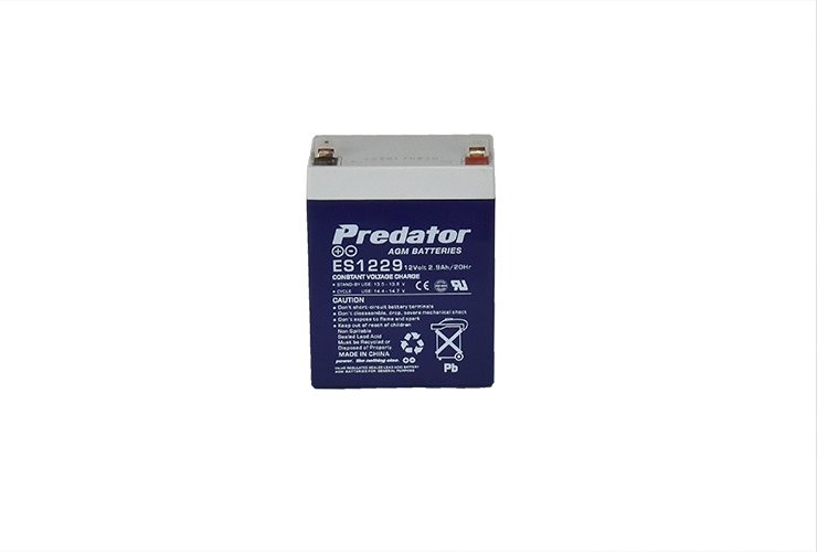 12V 2.9AH Multi-Purpose AGM Battery (ES1229)