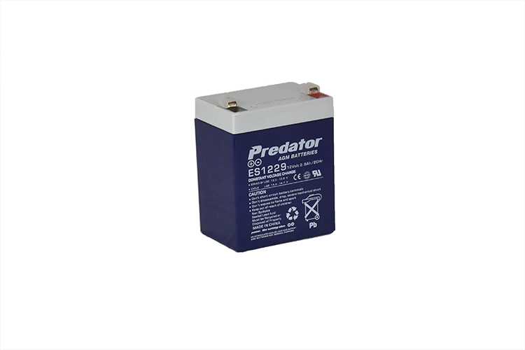 12V 2.9AH Multi-Purpose AGM Battery (ES1229)