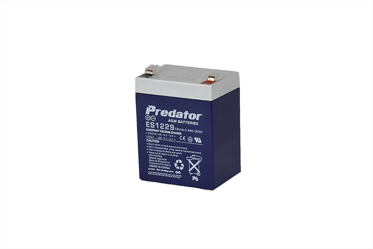 12V 2.9AH Multi-Purpose AGM Battery (ES1229)