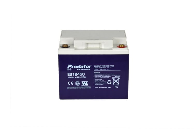 12V 45AH Multi-Purpose AGM Battery (ES12450)