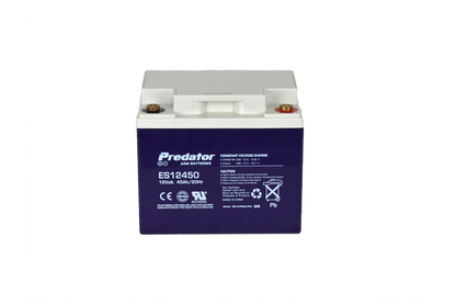 12V 45AH Multi-Purpose AGM Battery (ES12450)