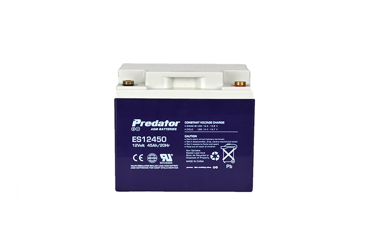 12V 45AH Multi-Purpose AGM Battery (ES12450)