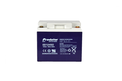 12V 45AH Multi-Purpose AGM Battery (ES12450)