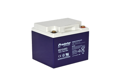 12V 45AH Multi-Purpose AGM Battery (ES12450)