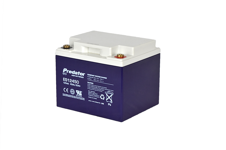 12V 45AH Multi-Purpose AGM Battery (ES12450)