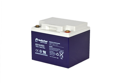 12V 45AH Multi-Purpose AGM Battery (ES12450)