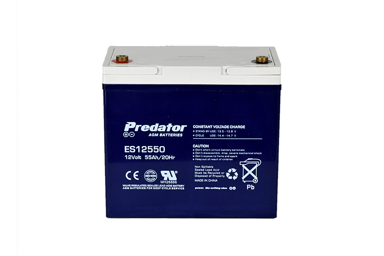 12V 55AH Multi-Purpose AGM Battery (ES12550)