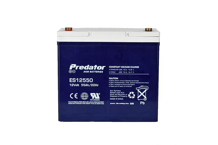12V 55AH Multi-Purpose AGM Battery (ES12550)