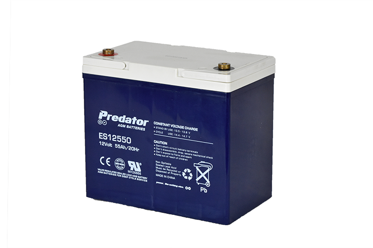 12V 55AH Multi-Purpose AGM Battery (ES12550)
