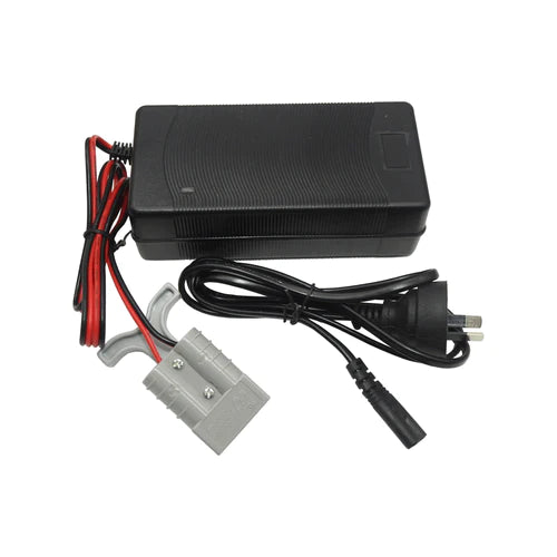 THUMPER LiFePO4 240V 10A BATTERY CHARGER