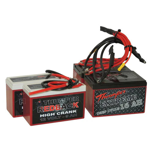 Replacement AGM Batteries For 48Ah Battery Packs