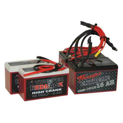 Replacement AGM Batteries For 48Ah Battery Packs