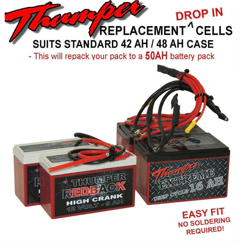 Replacement AGM Batteries For 48Ah Battery Packs