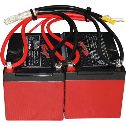 Replacement AGM Batteries For 30Ah Battery Packs