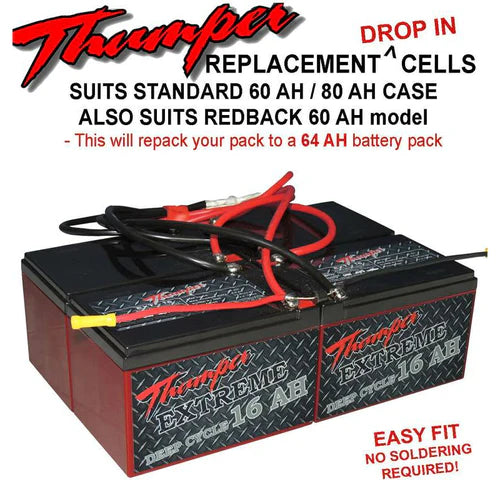 Replacement AGM Batteries For 60Ah Battery Packs