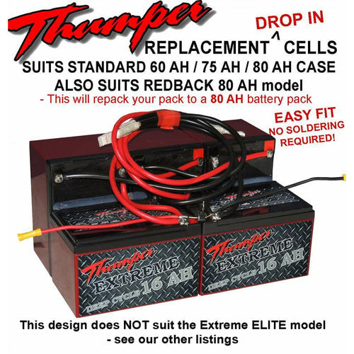 Replacement AGM Batteries For 80Ah Battery Packs
